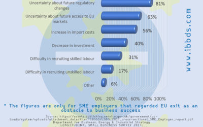 Reasons UK SME employers cited EU exit as an obstacle to success, Infographic by ibbds