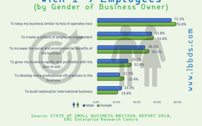 Business Objectives of UK Micro-Businesses, with 1-9 Employees, Infographic by ibbds
