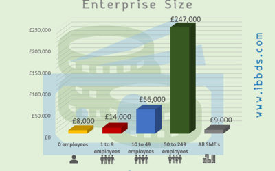 Median Profit Made by Small and Medium Enterprises (SME) in the United Kingdom (UK) in 2018, by Enterprise Size, Infographic by ibbds