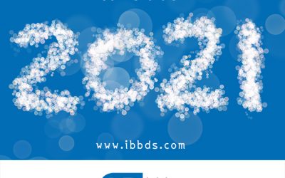 Happy New Year 2021 by ibbds